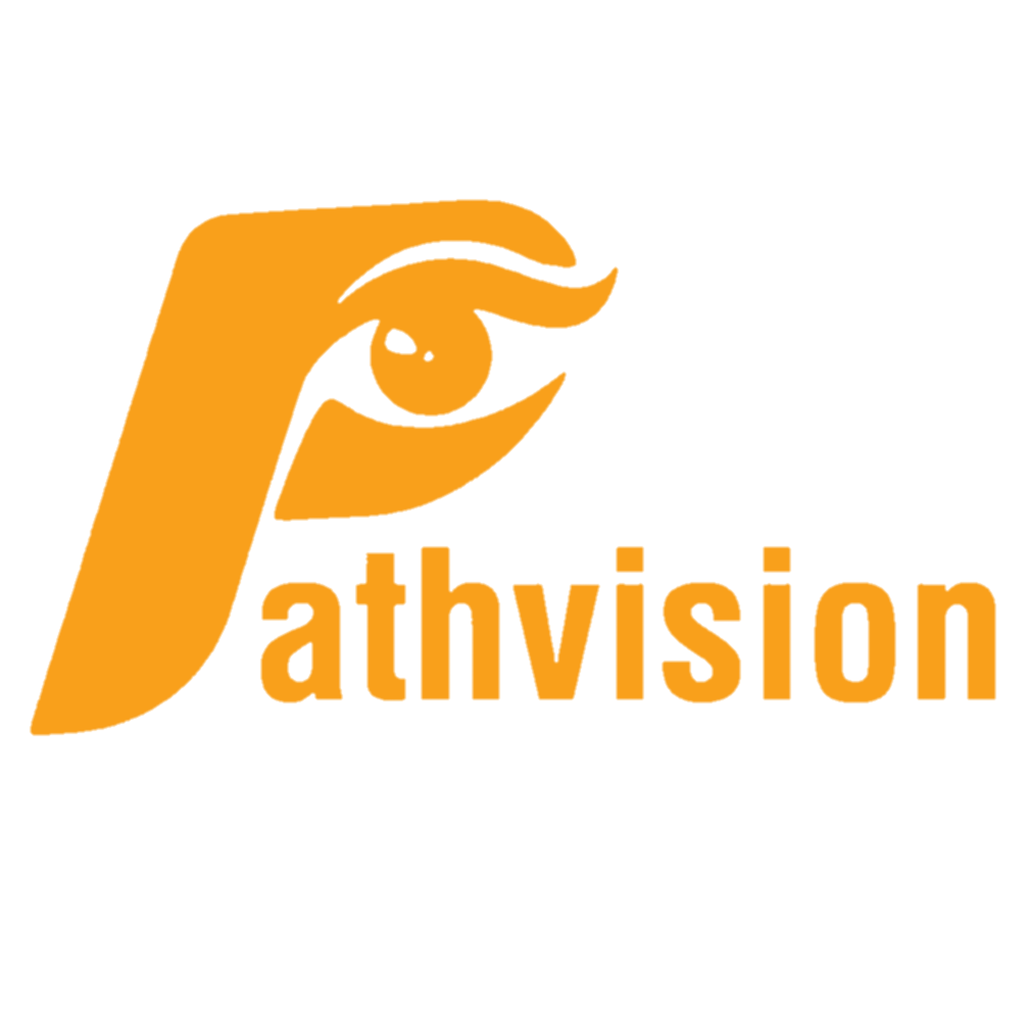PathVision Logo